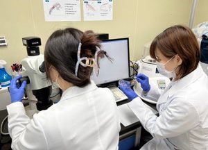 경기도 ‘식품안전 지킴이’ 지난해 818건 검사서 부적합 15건 적발