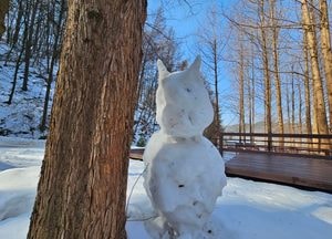 '녹지 않는 눈사람' 산속은 아직도 '한겨울'