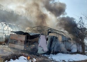 안산 단원구 비닐하우스서 불, 60대 남성 사망