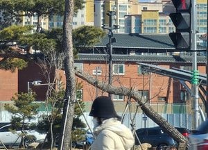 [내일 날씨] 경기·인천(18일, 화)...내일 '우수' '더 춥다, 바람불고 건조'