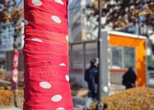 수도권에 건조·한파특보…산불 등 화재유의