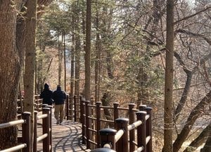 [내일 날씨] 경기·인천(27일, 목)...아침 '쌀쌀' 오후엔 '포근'