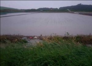 파주시, 농림축산식품부 배수개선사업에 금촌 검하지구 등 선정…국비 306억원 확보