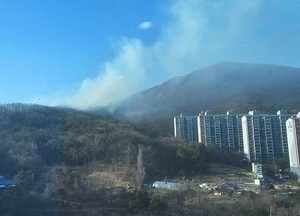 광주 회덕동 야산서 불...3시간 만에 진화