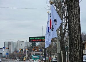 '흐린하늘 배경' 삼일절 알리는 동구릉 앞 태극기