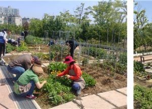 인천시 ‘도시농업 전문가’ 양성과정 교육생 모집…농식품부 발급 자격증 취득 가능