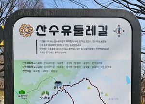 [공감, 세상구경] '봄꽃 가득한 힐링 코스' 이천 산수유둘레길