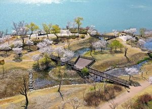 남양주시 ‘ 다산 정약용 브랜드 파워 도시 조성' 본격 시동