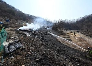 광주 초월읍 임야서 불, 담배꽁초 원인 추정