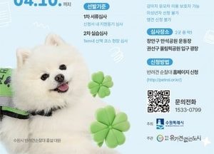 수원시, ‘2025년 반려견 순찰대’ 모집 시작...4개 구로 확대, 200개 팀 선발