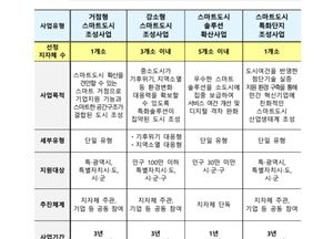 국토부, 2025년 스마트도시 조성사업 공모...총 10개소 선정