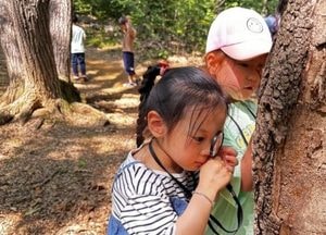 안양시, 내달부터 산림체험 프로그램 본격 운영...사전 예약제로 누구나 무료 참여 가능