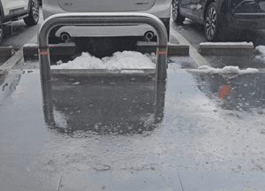 [공감, 세상구경] 춘설(春雪) 예찬