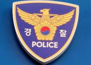 심야에 보행자 쾅...숨지게 한 음주운전자