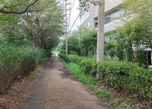 용인특례시, 유림동 일대 경안천 제방 환경개선 사업 착공...유림교-무수교 구간 ‘시민 안전’ 확보