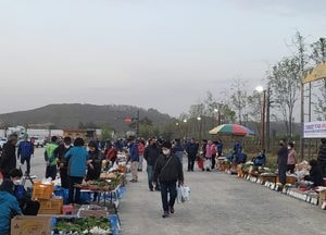 안성시, 농업인 직거래장터 개장 내달 26일로 연기...폭설·한파로 농산물 생산 차질