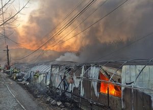 과천 화훼단지 비닐하우스 화재, 헬기3대 동원해 1시간 39분 만에 초진