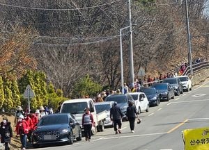 노란 물결 속으로, 이천백사 산수유꽃축제 '인산인해'