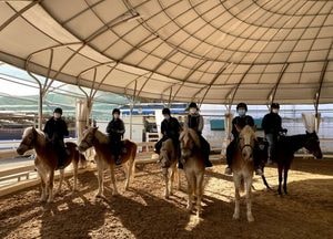 이천시, 학생승마체험 참여자 모집...일반·재활·생활 3개 부문으로 나눠 진행