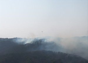 경기도, 산불 피해 복구에 총력 지원…국가적 재난 극복에 적극 동참
