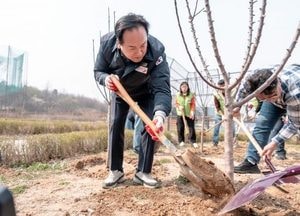오산시, 달빛수변공원에 감사나무 70주 식재…시민 참여 기금으로 진행