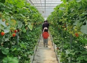 양주시 ‘농촌 사랑 자연 체험 학습’ 시작…20개 체험농장서 진행