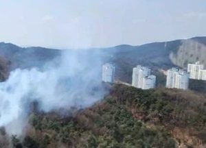 성남 분당구서 산불, 43분 만에 초진 성공