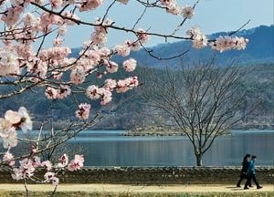 [다음주 날씨] 수도권(8일~13일)...10일 오전 '비', 대체로 맑고 건조
