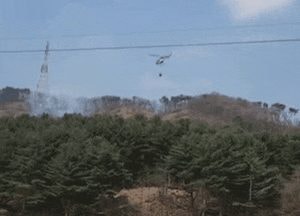 [영상] 양주 백석읍 야산서 불, 잔불 정리 중