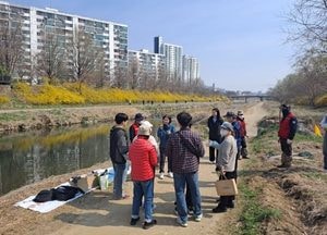 안양시, 민·관 합동 생태계 교란식물 제거작업 나서...오는 10월까지 안양천·학의천 일원서 진행