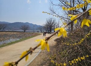 [다음주 날씨] 수도권(9~14일)…10일 오전 비, 건조한 날 많아