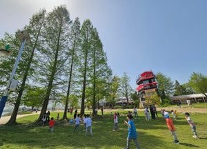 [공감, 세상구경] 나무는 인간을 지키는 버팀목