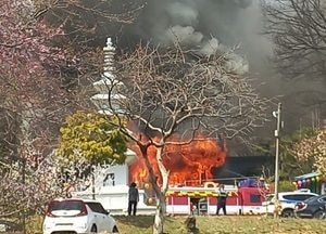용인 사찰서 난 화재, 야산으로 옮겨 붙어...2시간32분 만에 완진