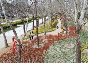 안양시, 지역 곳곳 봄꽃으로 물들다...최대호 시장 “도심 속 봄 아름다움 만끽하고 활력 찾길”