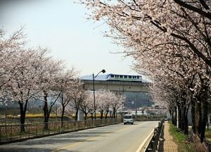 용인특례시, 봄철 나들이 여행객 증가 대비 ‘용인경전철 운송·안전 대책’ 수립