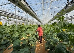양주시 ‘농어업소득 333 프로젝트’ 본격 가동...3년 이내 소득 30% 이상 향상 목표