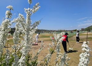 '날씨 최고' 파크골프 즐기는 골퍼들