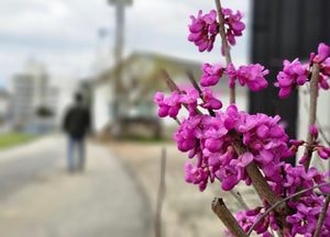 기상청, 구리시·서울 동남북권 건조주의보 발효