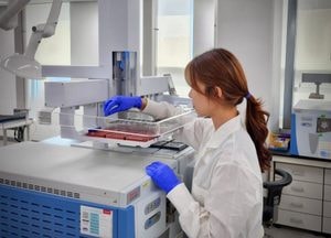 방울토마토·미니사과 등 경기도 유통 미니 농산물, 잔류농약으로부터 ‘모두 안전’