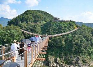 봄꽃정원·Y형 출렁다리·반려견 놀이터까지 ‘2025년 포천 한탄강 봄 가든페스타’ 내달 3일 개막