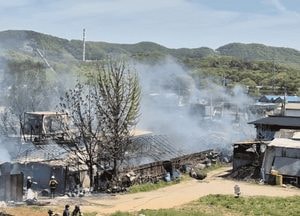 [영상] 시흥 콩나물공장 화재, 50대 여성 부상