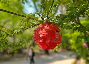 [공감, 세상구경] 5월은 풍성하게 지내야