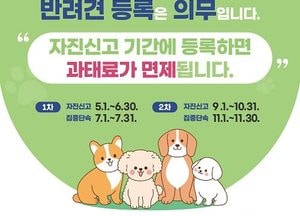 경기도, 동물등록 자진신고·집중단속 기간 운영...과태료 없이 등록 기회 제공
