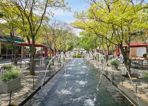 [다음주 날씨] 수도권(10일~16일)…초여름 더위와 흐린 날씨 반복