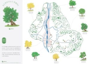 동두천시, 은행나무·느티나무 ‘보호수 안내 지도’ 제작...자연학습·관광 자원으로 활용 기대