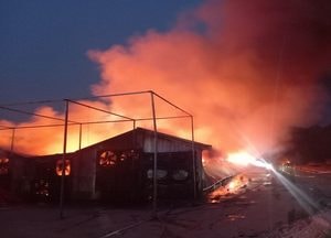 평택 오성면 양계장 화재...산란계 7천 마리 폐사