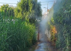 동두천시, 여름철 무더위 대비 ‘안개 분사기’ 설치...원터 근린공원·어린이놀이시설 인근에 쉼터 조성