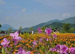 [다음주 날씨] 수도권(17~22일)...19일 오후 비, 주말은 구름 많음