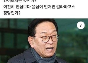 석동현 국민의힘 선대위 합류소식에 자당서도 '시끌'