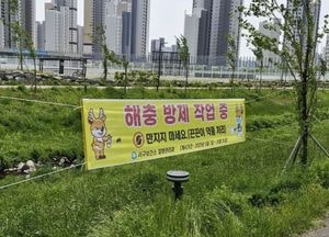 인천 서구 ‘끈끈이 현수막’으로 말라리아·모기 친환경 방제